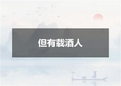 但有载酒人