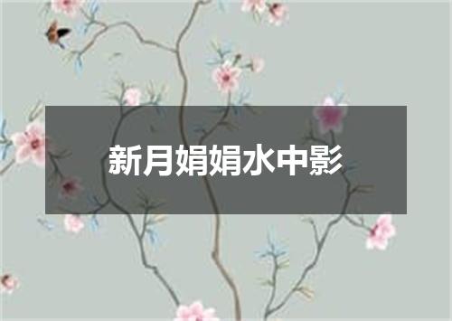 新月娟娟水中影