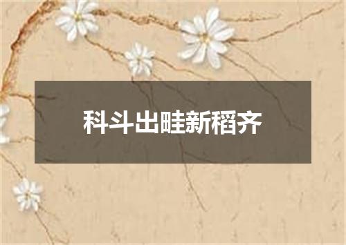 科斗出畦新稻齐