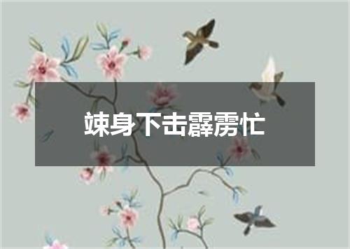 竦身下击霹雳忙