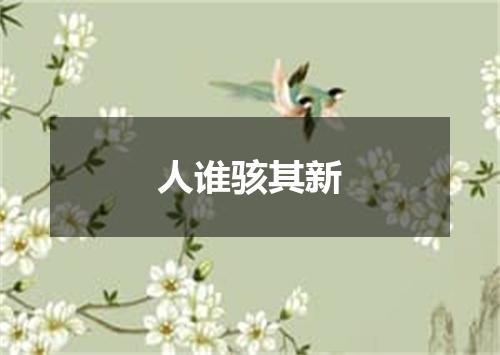 人谁骇其新