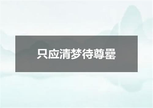 只应清梦待尊罍