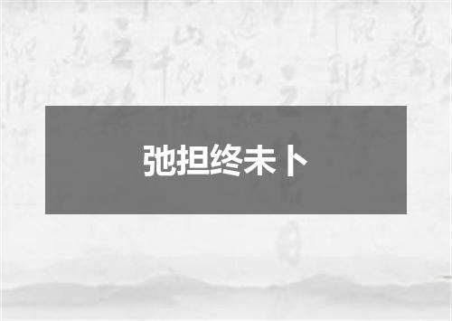 弛担终未卜