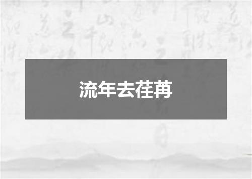 流年去荏苒