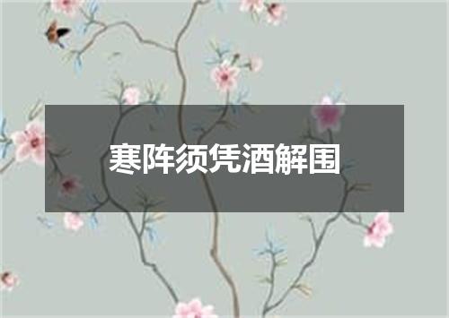 寒阵须凭酒解围