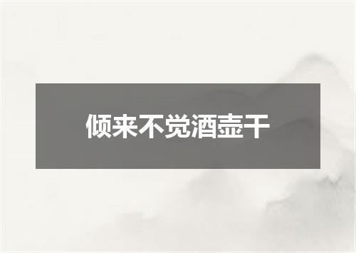 倾来不觉酒壶干