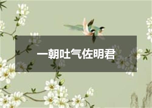 一朝吐气佐明君