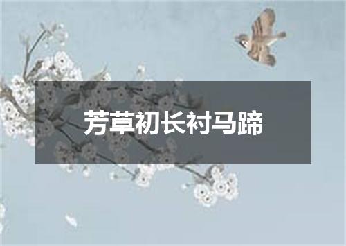 芳草初长衬马蹄