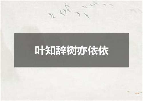 叶知辞树亦依依