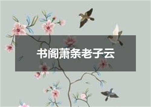 书阁萧条老子云
