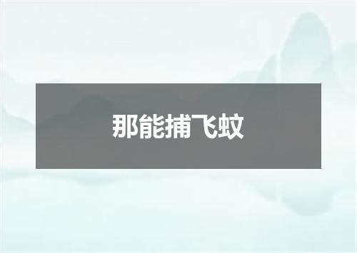 那能捕飞蚊