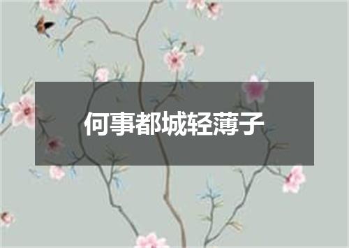 何事都城轻薄子