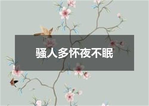 骚人多怀夜不眠
