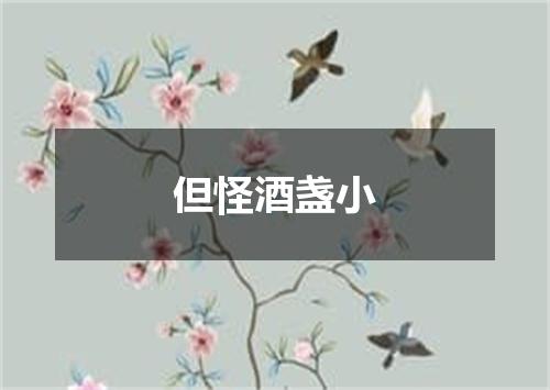 但怪酒盏小