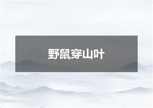野鼠穿山叶