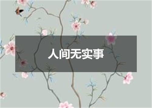 人间无实事