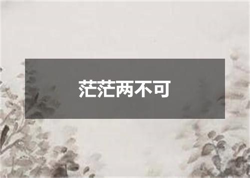 茫茫两不可
