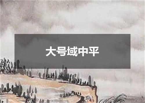 大号域中平