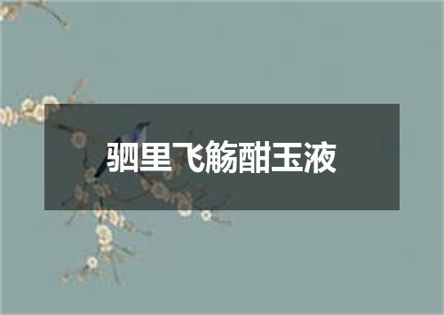驷里飞觞酣玉液