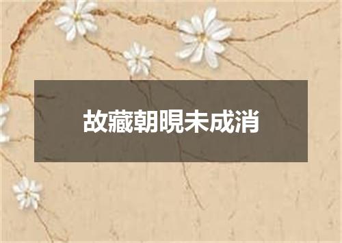 故藏朝晛未成消