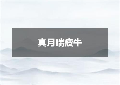 真月喘疲牛