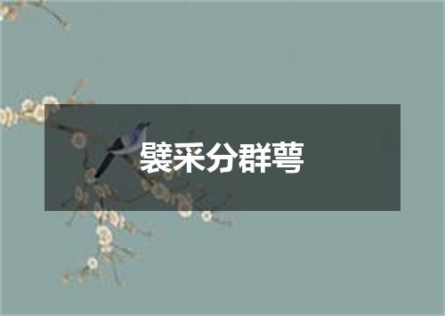 襞采分群萼