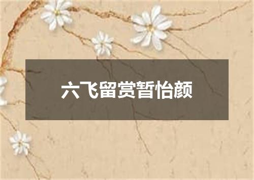 六飞留赏暂怡颜