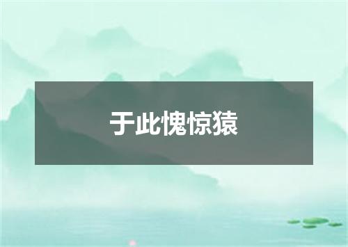 于此愧惊猿