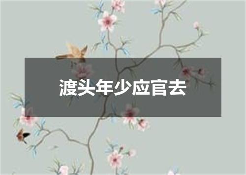 渡头年少应官去