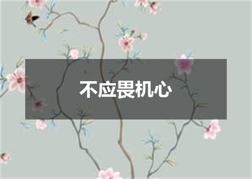 不应畏机心