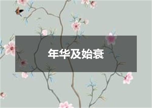 年华及始衰
