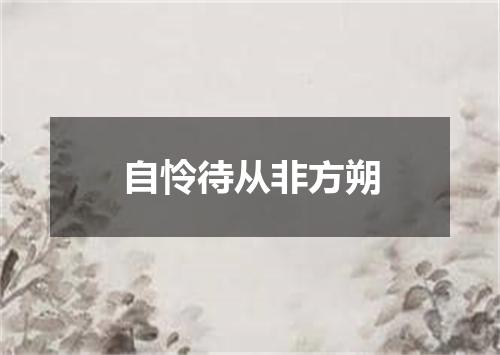 自怜待从非方朔