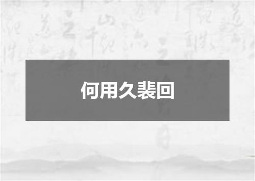何用久裴回