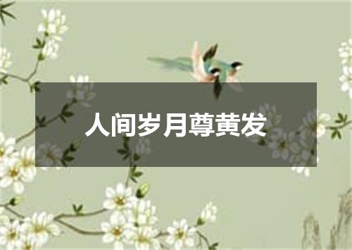人间岁月尊黄发
