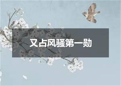 又占风骚第一勋