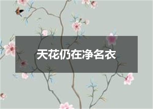 天花仍在净名衣