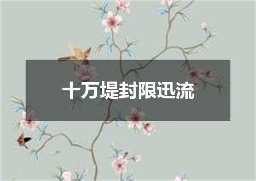 十万堤封限迅流