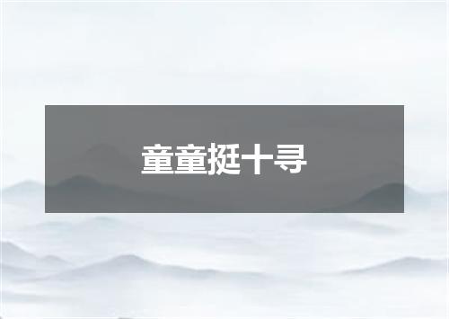 童童挺十寻