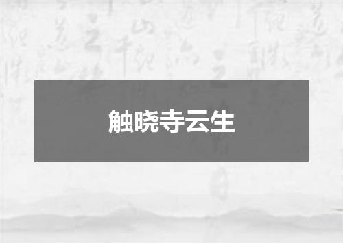 触晓寺云生