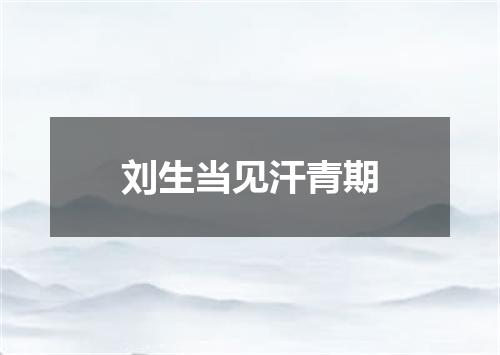 刘生当见汗青期