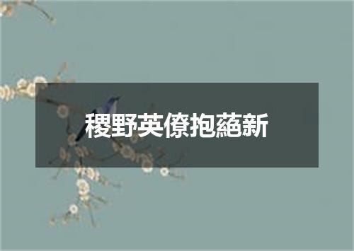 稷野英僚抱蕝新
