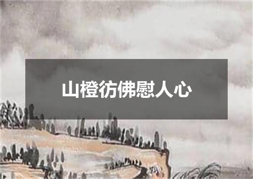 山橙彷佛慰人心