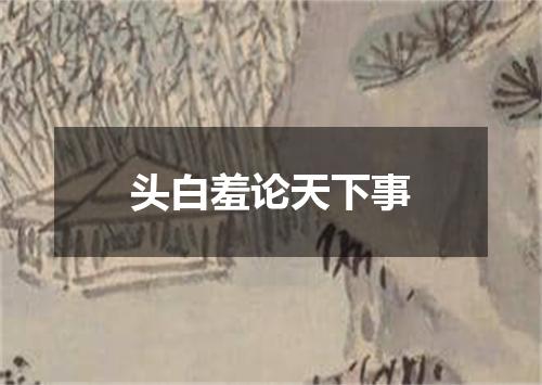 头白羞论天下事