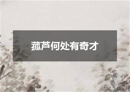 菰芦何处有奇才
