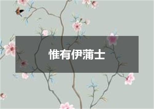 惟有伊蒲士