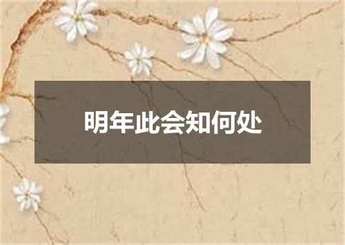 明年此会知何处