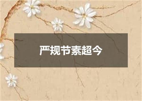 严规节素超今