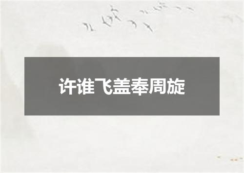 许谁飞盖奉周旋