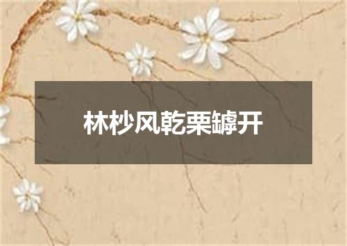 林杪风乾栗罅开