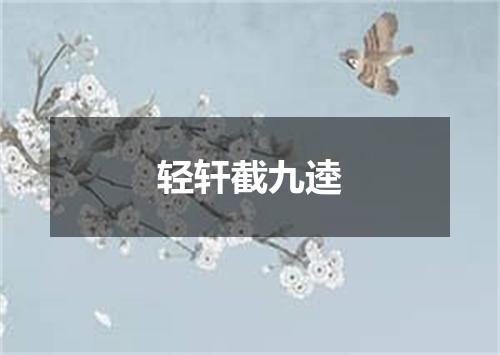 轻轩截九逵